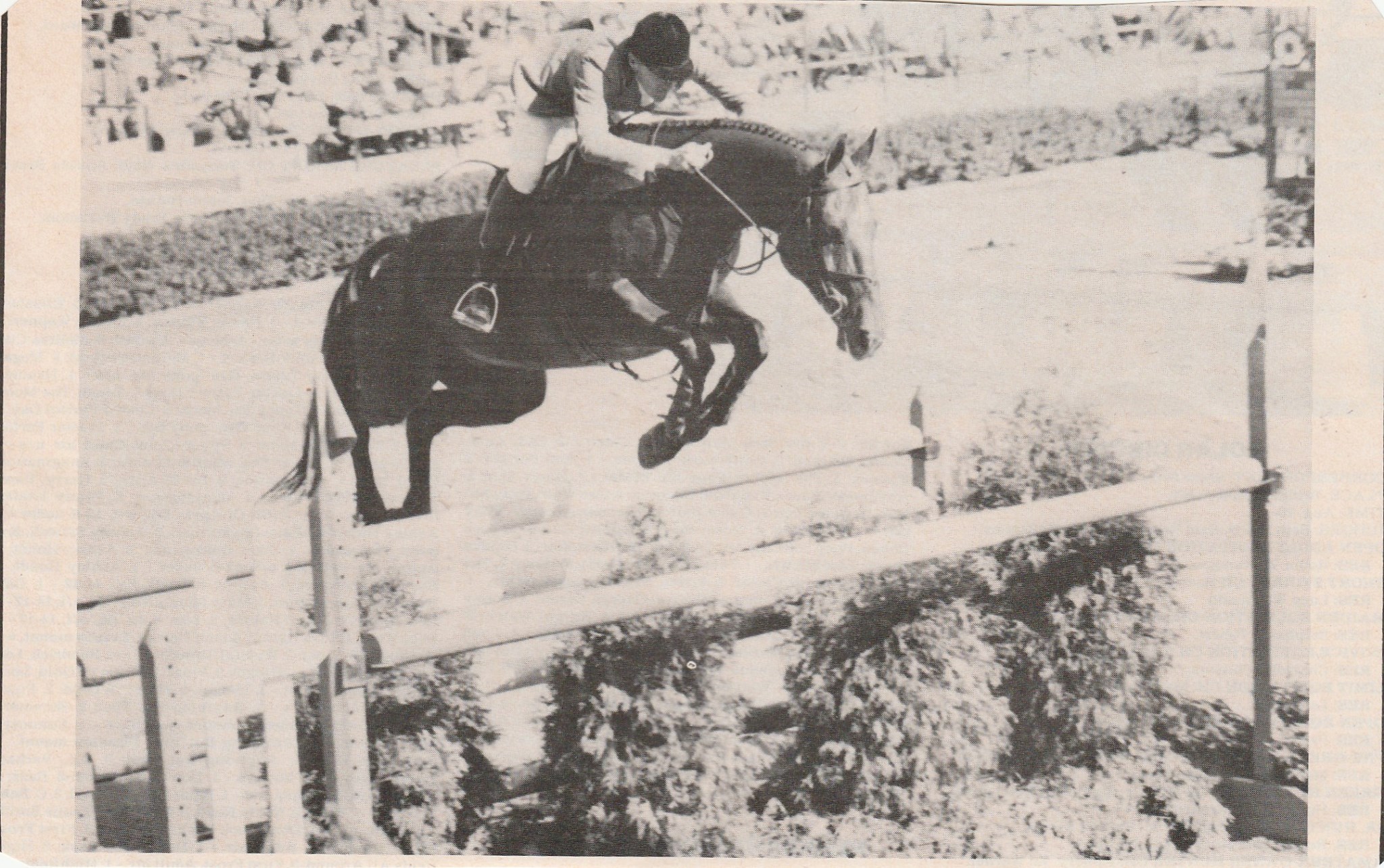 Michael Matz Aboard Chef At The Devon Horse Show 1986